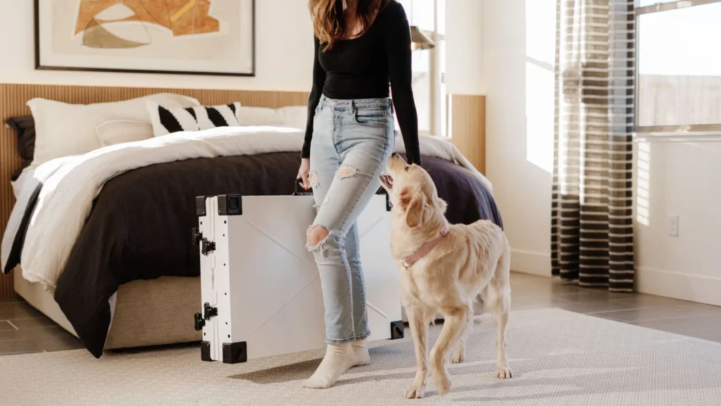A woman with her playful golden retriever in a modern bedroom with stylish decor and natural light. — selected for United States readers