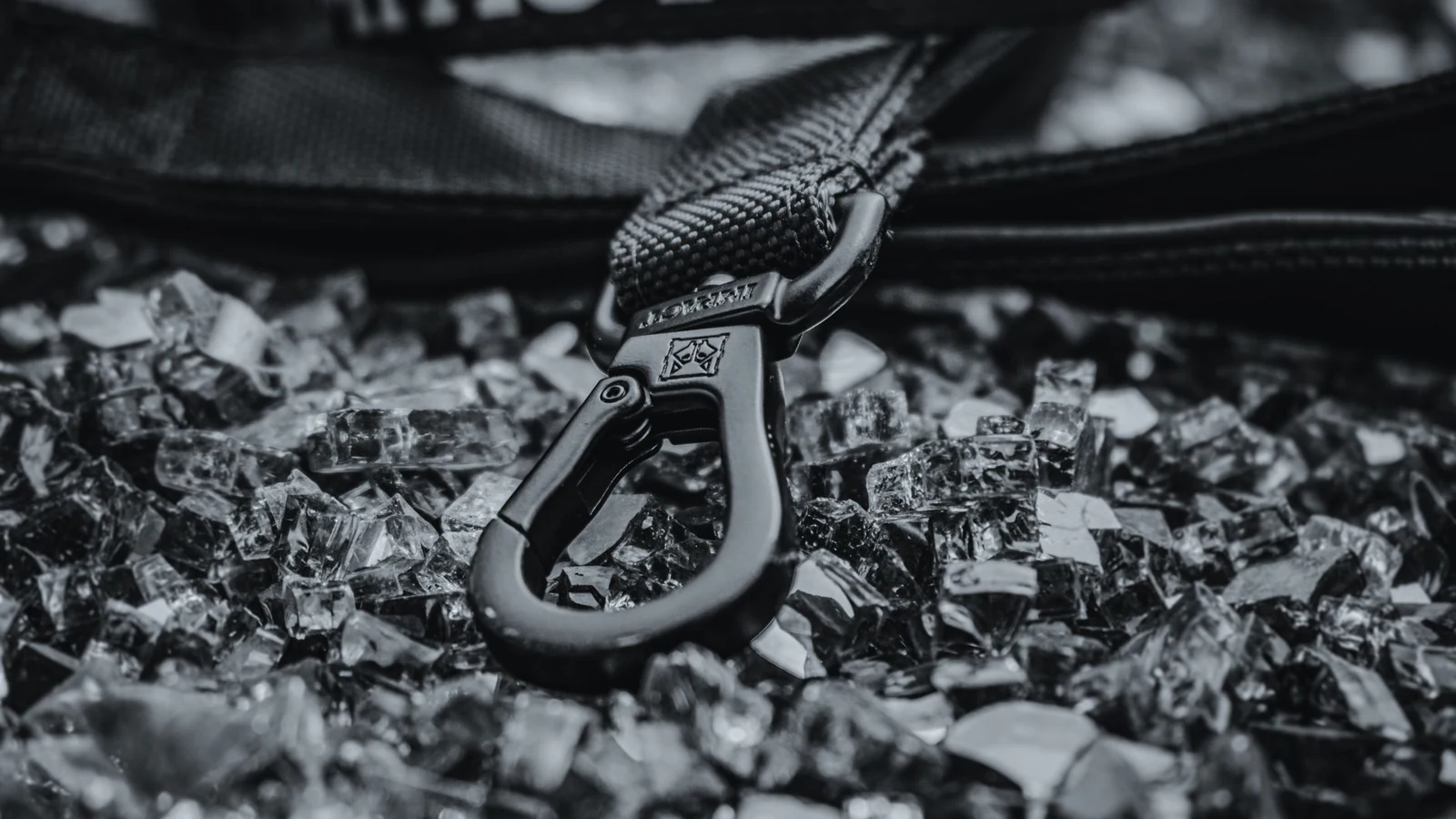 High-quality dog leash featuring a durable carabiner clip, resting on a textured glass surface. — selected for United States readers