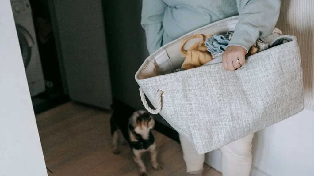 Crop unrecognizable female with nag of dirty clothes standing in light room room with with cute dog during laundry routine — selected for United States readers