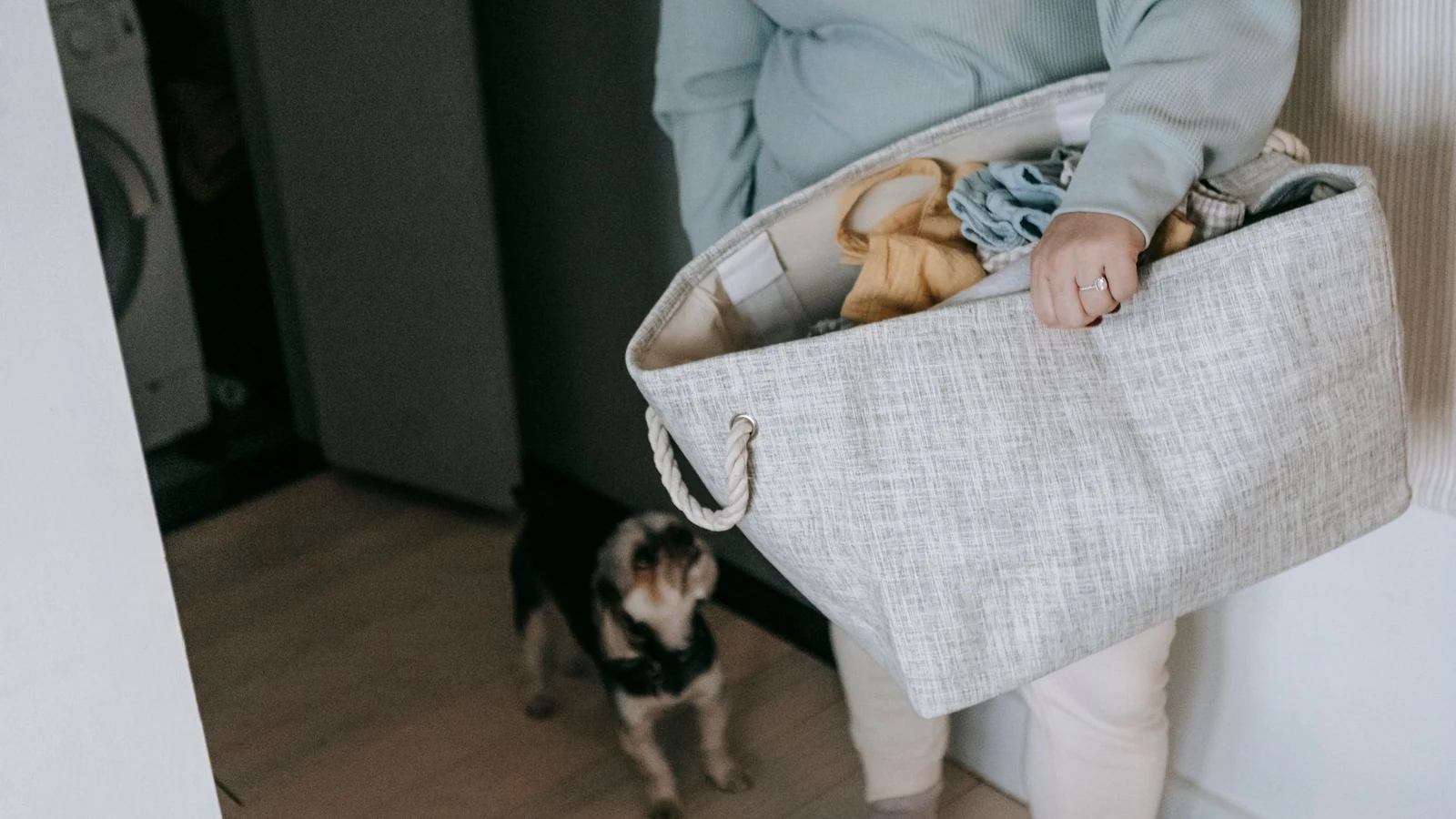 Crop unrecognizable female with nag of dirty clothes standing in light room room with with cute dog during laundry routine — selected for United States readers
