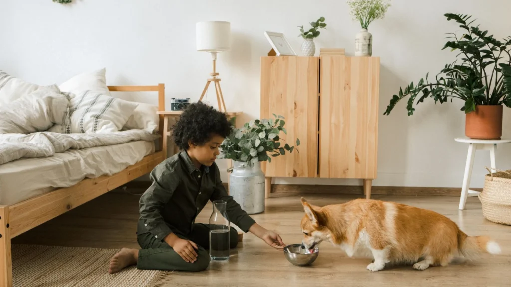 Child feeding a Corgi water in a cozy bedroom with plants and natural decor. — selected for United States readers