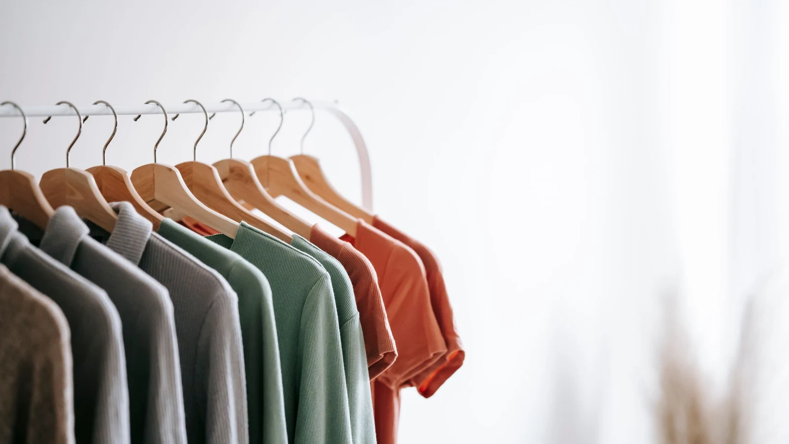 Interior of light apartment with different clothes on wooden hangers in wardrobe near white walls — selected for United States readers